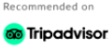 tripadvisor